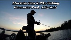 Person fishing off a boat. Text: Muskoka Bass and Pike Fishing, Gloucester Pool, July 2016