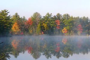 Spring & Fall Specials