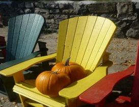 Fall Packages