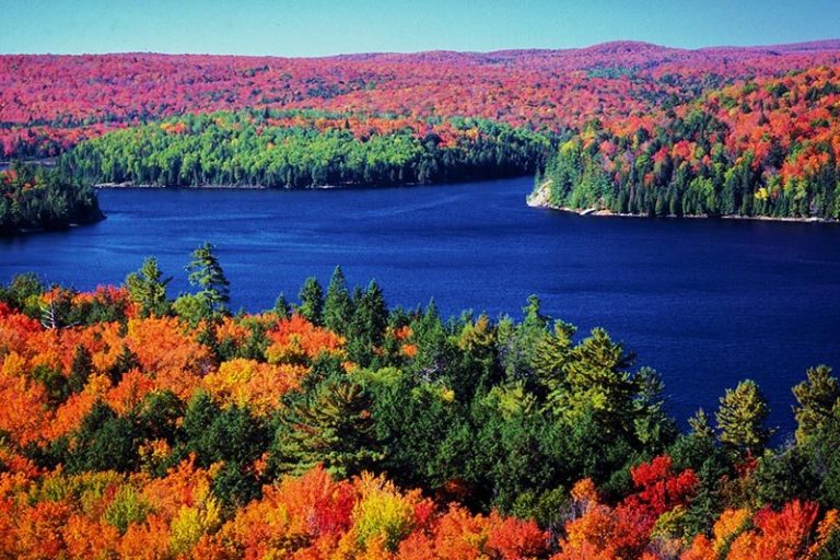 Aerial view of Muskoka lakes and autumn trees