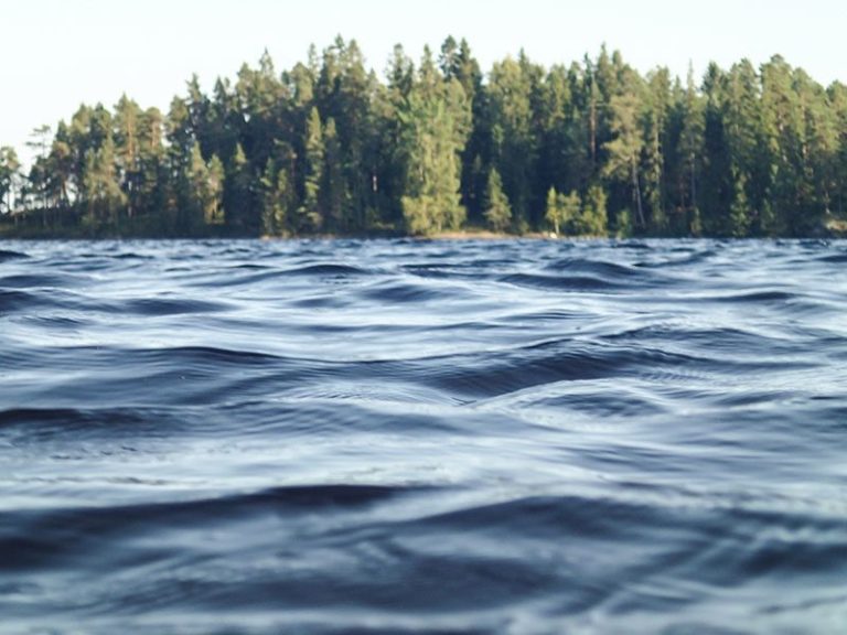 Lake waters and forest.