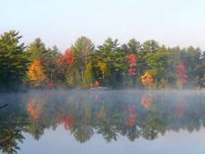 Mist on Georgian Bay with autumn trees.