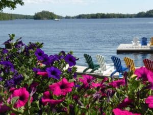 Lakeside shrubs with pink and purple flowers.