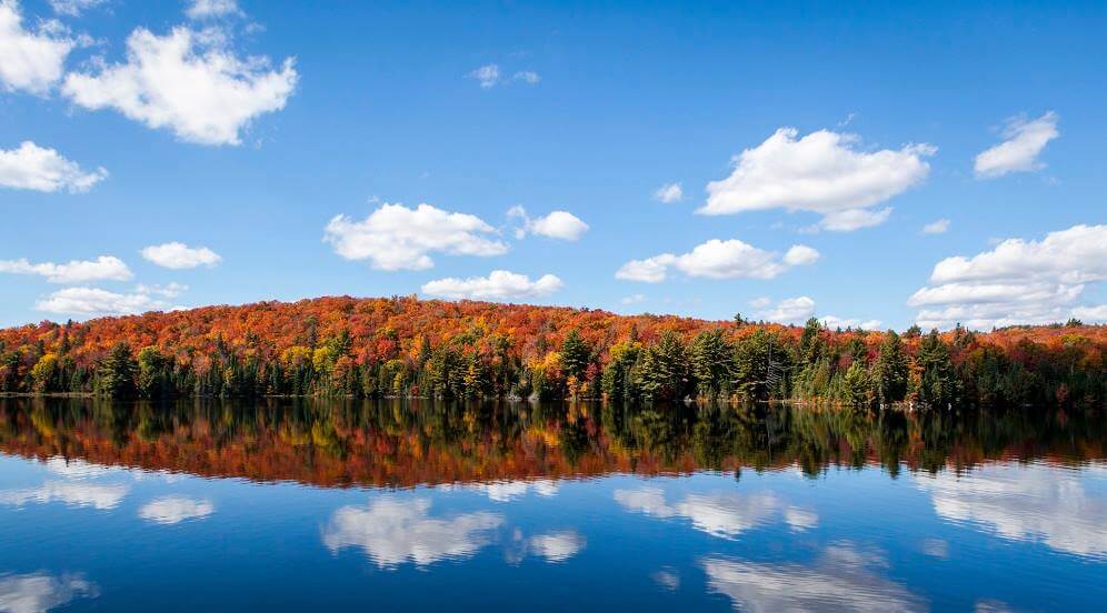 Photo of Gloucester Pool, One of the Best Fall Getaways in Ontario.