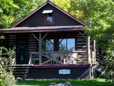 A rustic cabin rental surrounded by a dense Muskoka forest.