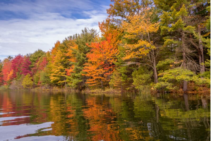 A stunning aerial view of the Ontario fall foliage and it's mirror-like reflection on Gloucester Pool.