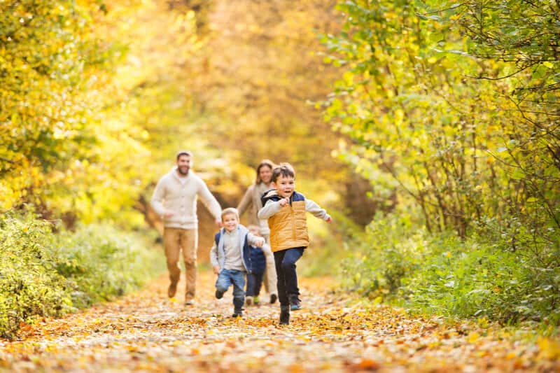 A young boy leads his family though a beautiful hiking trail adorned with Muskoka's fall colours.