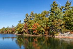 A beautiful fall picture of Beausoleil Island.