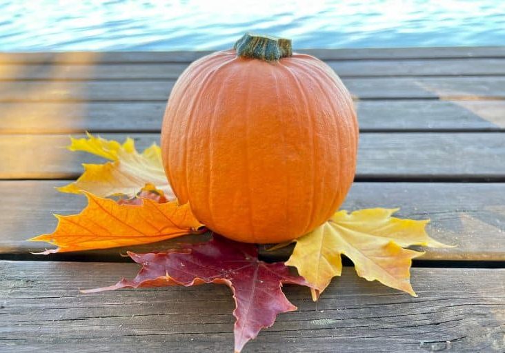 Pumpkin on a dock with fall maple leaves